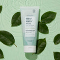 Sugar Scrub + Bubble Wash Rainforest Mist next to green leaves on a green water background.