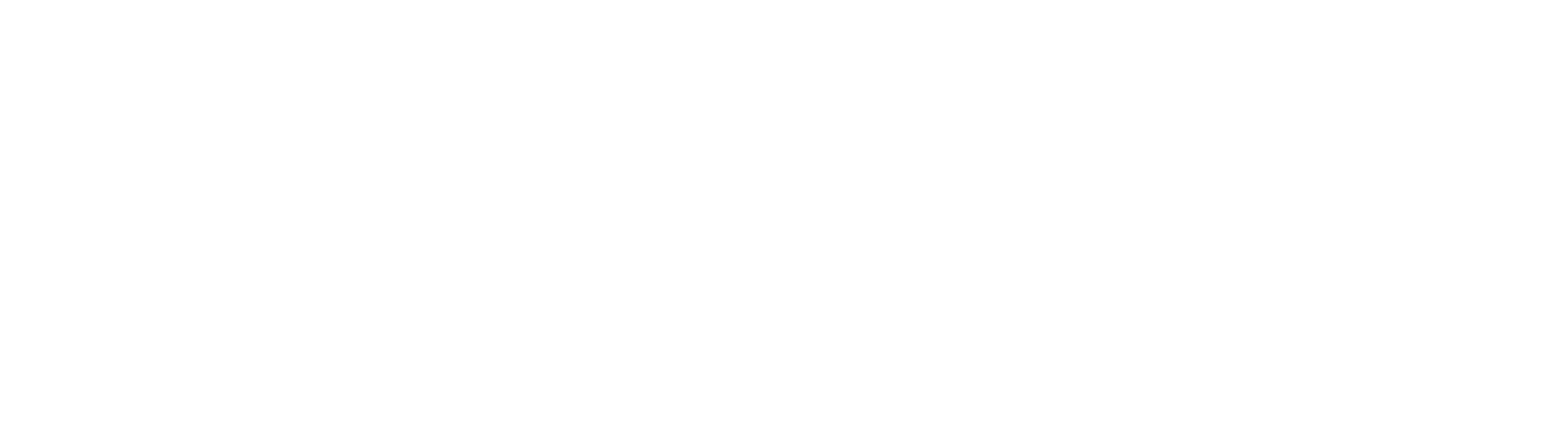 Voesh logo